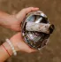 Paua Kagyló 13-15 cm