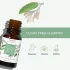 Aromafume-White Sage-Fehér Zsálya Esszenciális olajkeverék