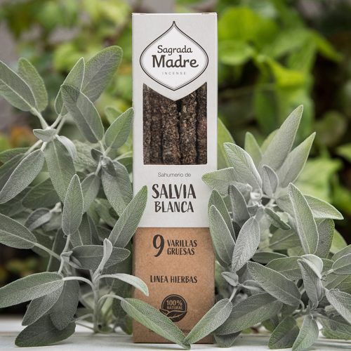 Sagrada Madre-White Sage-Fehér Zsálya  9 szál  Füstölőpálca