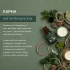 Aromafume- Kapha Dosha Esszenciális olajkeverék