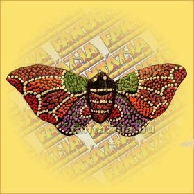 Hűtőmágnes-Trópusi Lepke/Aboriginal Festéssel